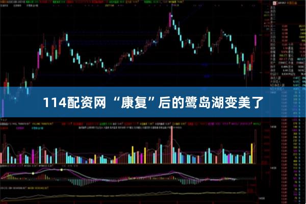 114配资网 “康复”后的鹭岛湖变美了
