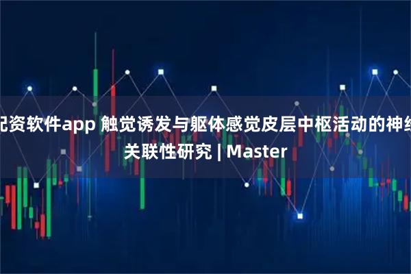 配资软件app 触觉诱发与躯体感觉皮层中枢活动的神经关联性研究 | Master