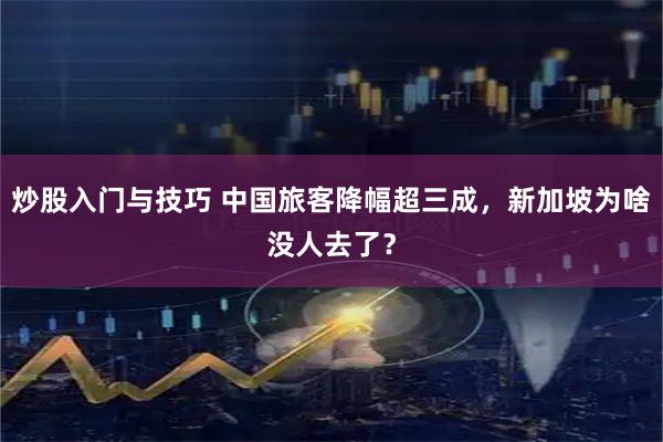 炒股入门与技巧 中国旅客降幅超三成，新加坡为啥没人去了？